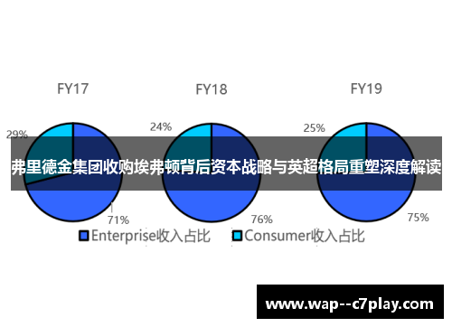弗里德金集团收购埃弗顿背后资本战略与英超格局重塑深度解读